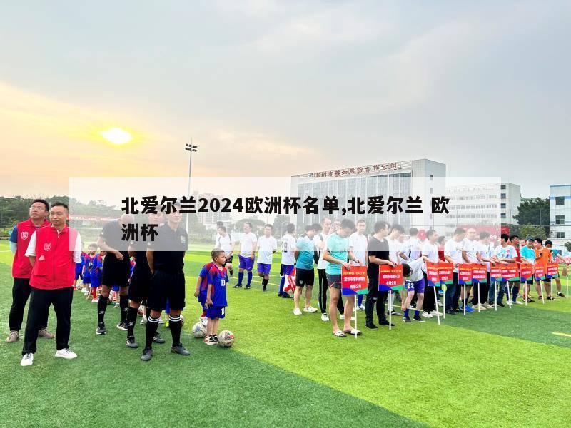 北爱尔兰2024欧洲杯名单,北爱尔兰 欧洲杯