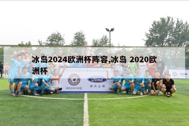 冰岛2024欧洲杯阵容,冰岛 2020欧洲杯