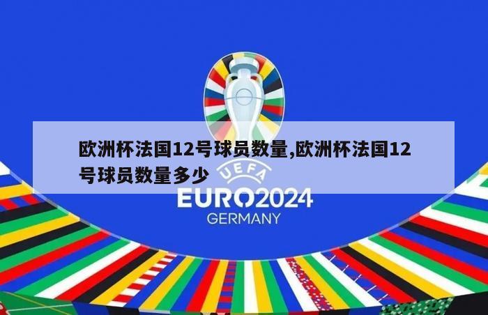 欧洲杯法国12号球员数量,欧洲杯法国12号球员数量多少