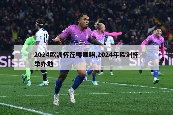 2024欧洲杯在哪里踢,2024年欧洲杯举办地