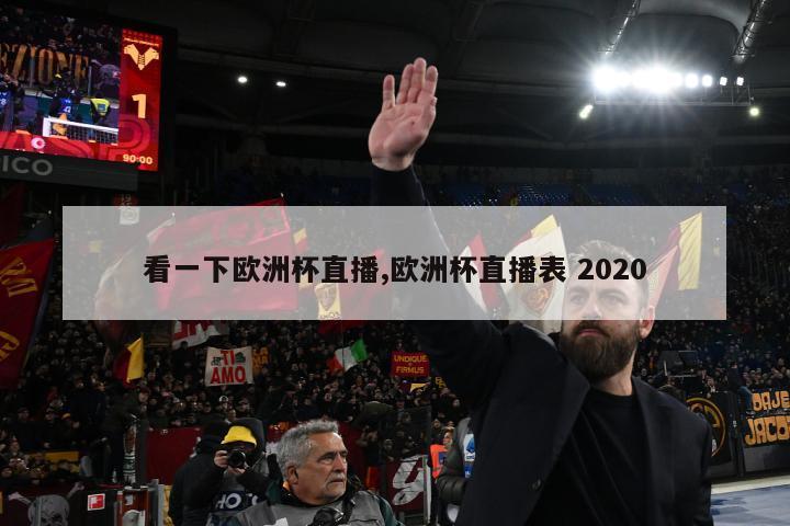 看一下欧洲杯直播,欧洲杯直播表 2020