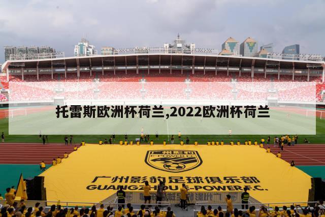 托雷斯欧洲杯荷兰,2022欧洲杯荷兰