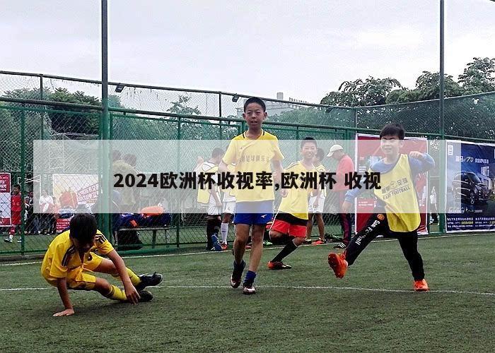 2024欧洲杯收视率,欧洲杯 收视