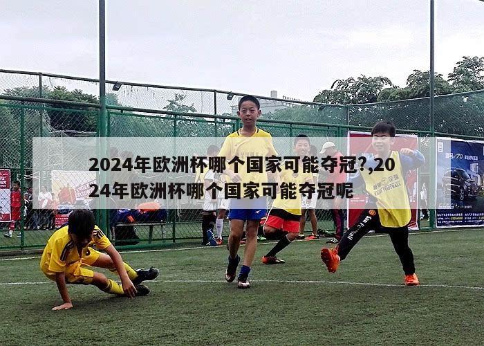 2024年欧洲杯哪个国家可能夺冠?,2024年欧洲杯哪个国家可能夺冠呢